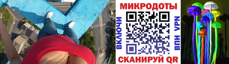купить закладку  Дзержинский  Галлюциногенные грибы MAGIC MUSHROOMS 